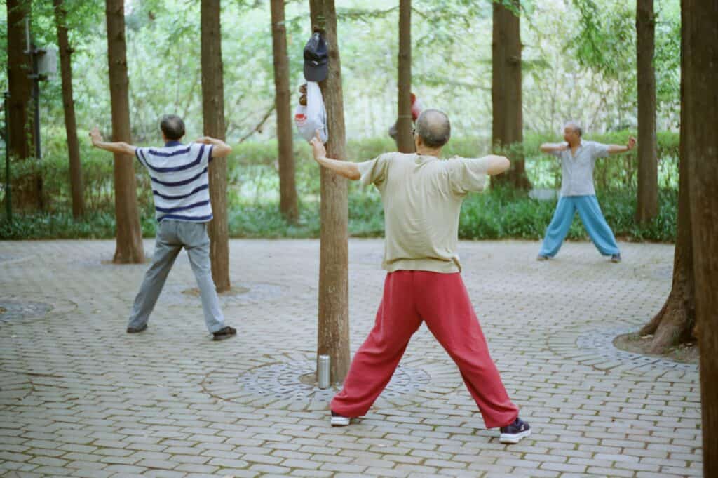 Qi Gong vs. Tai Chi: Both can be incredibly beneficial for your recovery