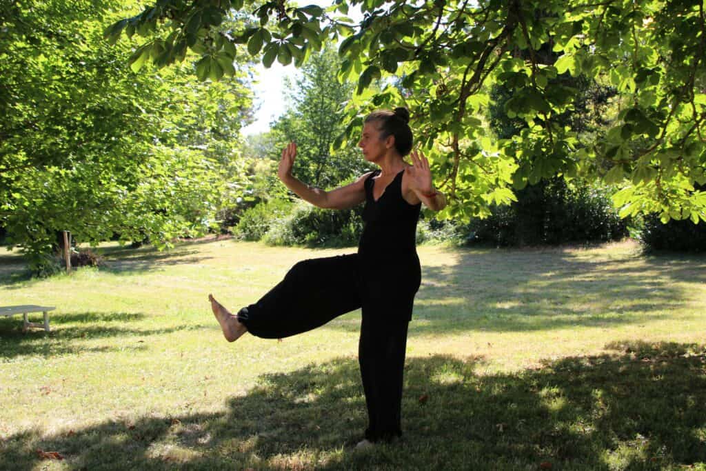 Qi Gong vs. Tai Chi: Give your body the holistic healing it deserves on your road to recovery